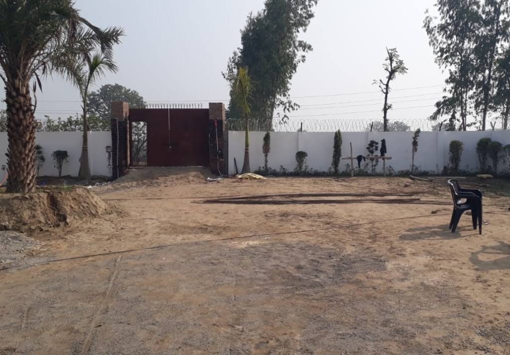 Balaji Plots