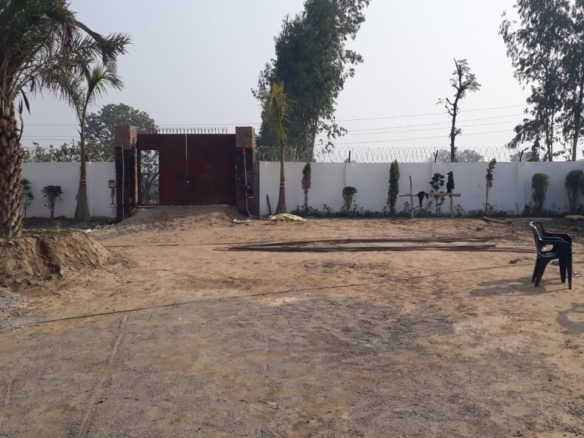 Balaji Plots