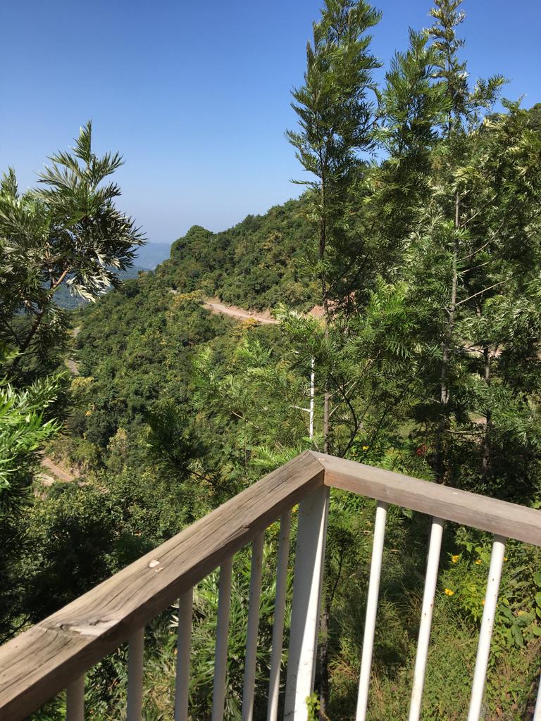 A Luxury 2BHK 1BHK Apartment For Sale In Kasauli.