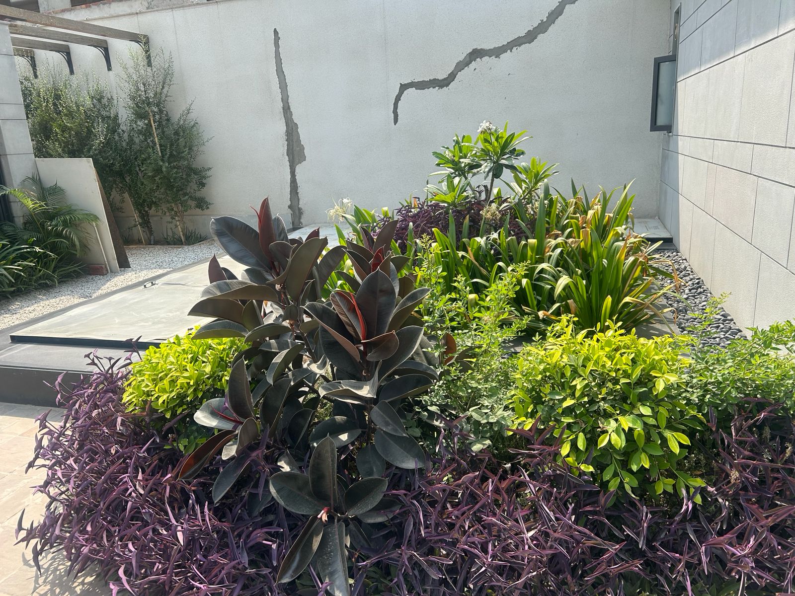 Farm House For Sale In Vasant Kunj South Delhi.